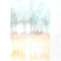 Tree Study