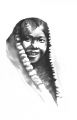 Little Girl