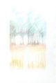 Tree Study