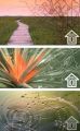 Inhabitat Series, Green Build 101 